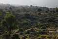 293_Kreta_w drodze na Plaskowyz Katharo